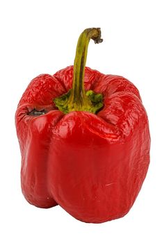 rotten red bell pepper isolated on white background.