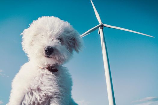 White dog and wind turbine for a clean concept over deep blue sky