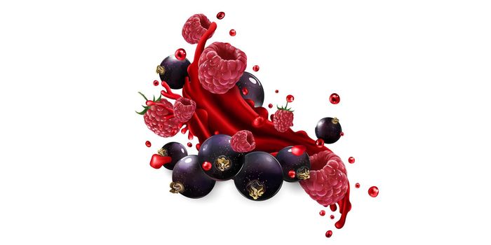 Black currant and raspberry and a splash of red fruit juice on a white background. Realistic style illustration.