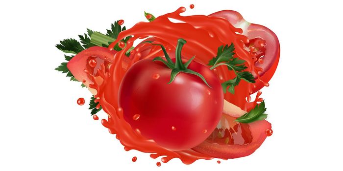 Fresh tomatoes and celery and a splash of vegetable juice on a white background. Realistic style illustration.