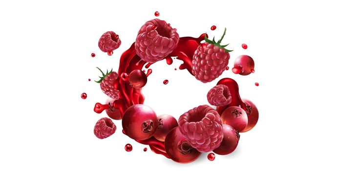 Fresh cranberries and raspberries in fruit juice splashes on a white background. Realistic style illustration.