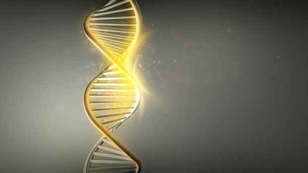Vertical model of DNA double helix with a golden glow on gray background. 3D render.