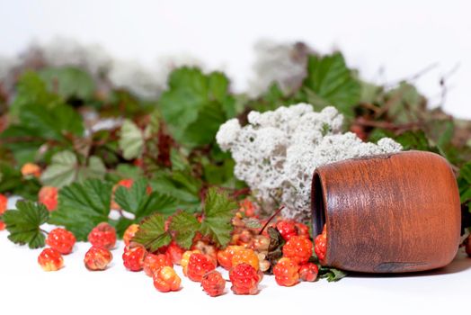 Cloudberry and clay pot with lichen and leaves on white background