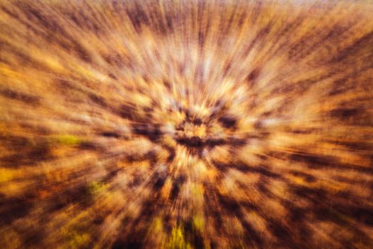 Abstract zooming effect from the bush in Kruger national park, South Africa