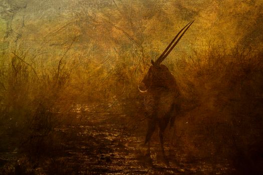 South African Oryx with tracing multiple images of oil painting background ; specie Oryx gazella family of Bovidae