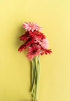 Pink and red gerbera daisies bouquet on green background. Minimal design flat lay