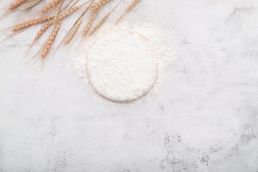 The ingredients for homemade pizza dough with wheat ears ,wheat flour and wheat grains set up on white concrete background.