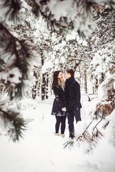 A guy and a girl in warm clothes and scarves on a walk in the snowy forest and in the field