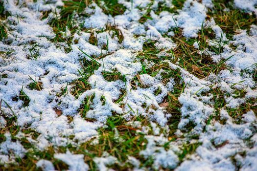 Thin layer of first snow on green grass. Winter is coming background