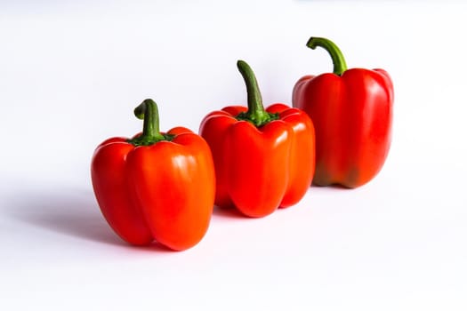 Three red sweet bell peppers in a row, paprika isolated on white background
