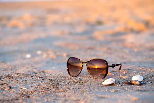 Sunglasses and seashells lie on the wet sand. The sun reflecting in glasses. Close-up, early morning sunrise