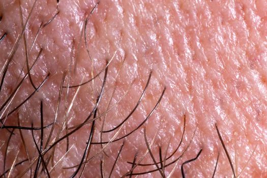 Human skin texture with pores and hair. Extreme close-up macro shot