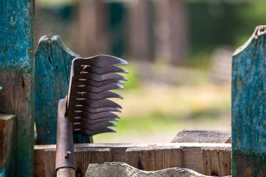 Old garden rake with sharp teeth near a wooden fence. Close-up view