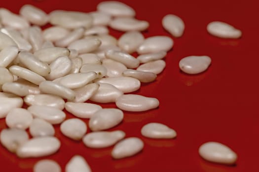 White sesame seeds on a red background, macro, close-up