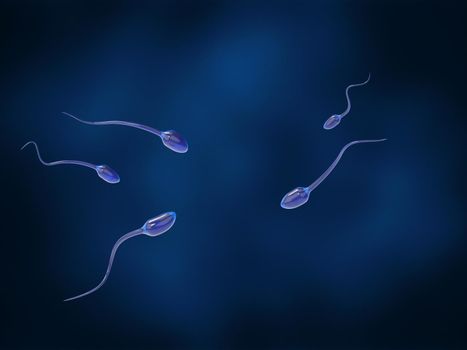 Several sperm searching for female egg cell on a dark blue background. 3D rendering medical illustration