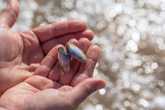 Woman holding a blue seashell in her palms. Close-up, blurred bokeh water background