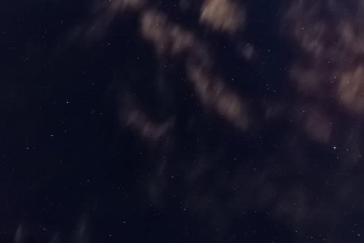 Blue night sky with stars, white moving clouds and trees. Look up, view from below