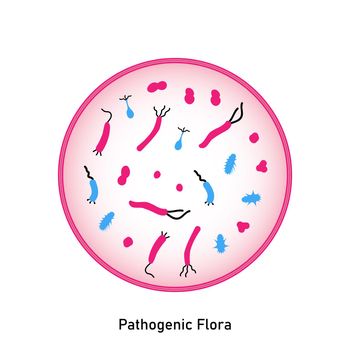 Bacterial microorganism in a circle. Pathogenic flora of the skin and mucous membranes. Flat style. Germs, primitive organisms. Disruption of normal flora. Medical illustration