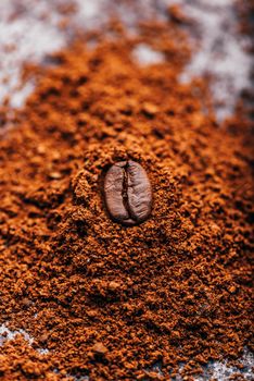 Fresh roasted coffee bean lays on heap of grinded coffee