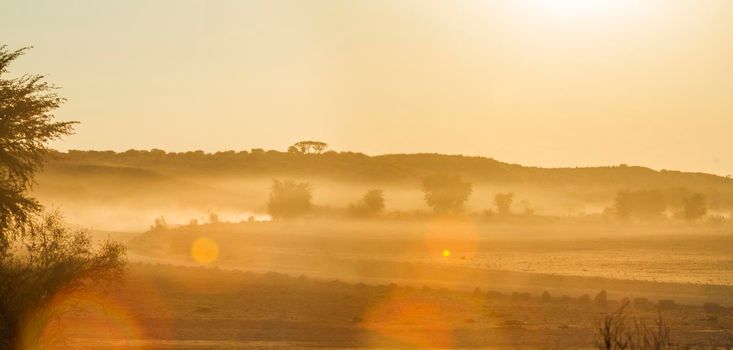 Dust sunset scenery in Kgalagadi transfrontier park, South Africa