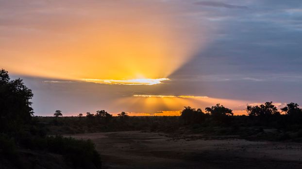 Scenic sunrise in Swingwedzi riverbed in Kruger National park, South Africa