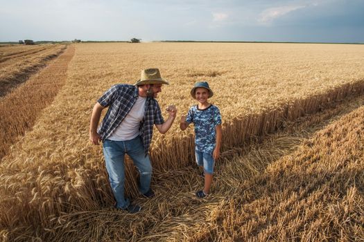 Farmers are standing in their wheat field while the harvesting is taking place. Father is teaching his son about agriculture.