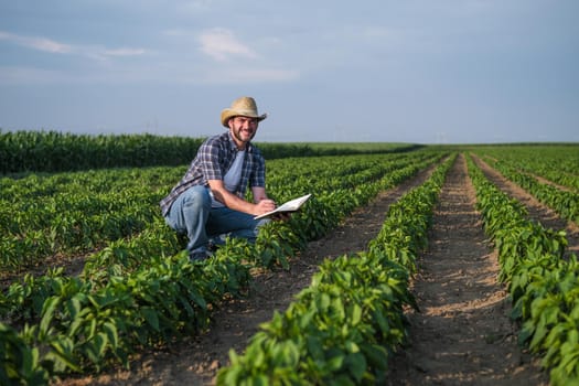 Farmer is examining his chili plantation.