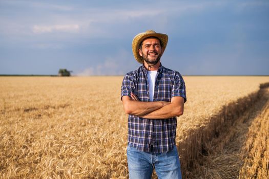 Farmer is standing in front of his wheat field while harvesting is taking place.