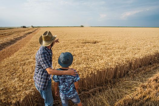 Farmers are standing in their wheat field while the harvesting is taking place. Father is teaching his son about agriculture.