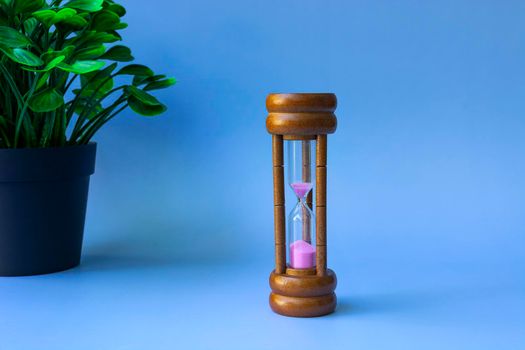 Hourglass as time passing concept for business deadline and running out of time with blue background and potted plant. Space for text