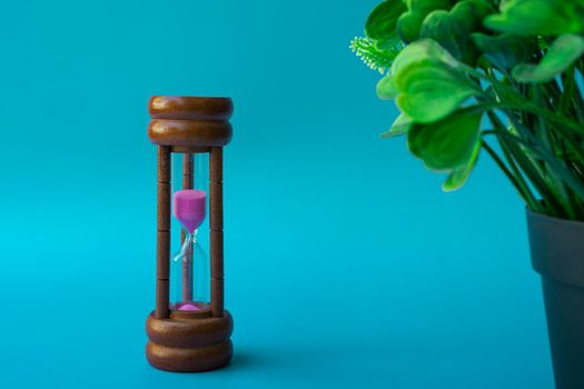 Hourglass as time passing concept for business deadline and running out of time with green background and potted plant. Space for text