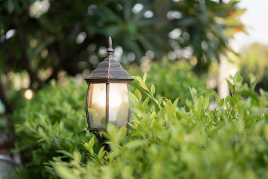 Garden lamp with green leaves in garden