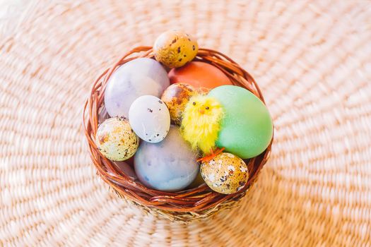 Colorful Easter eggs and decorative small yellow chicken toy in a wicker basket.