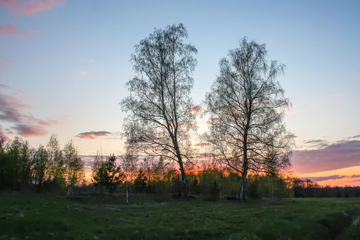 Spring landscape in the countryside. Beautiful sunset in april.